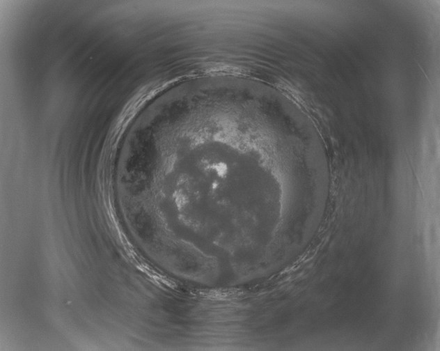 X0000081590241200701151316