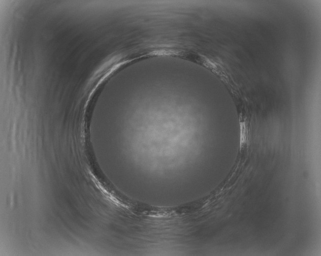 X0000081590243200701151316