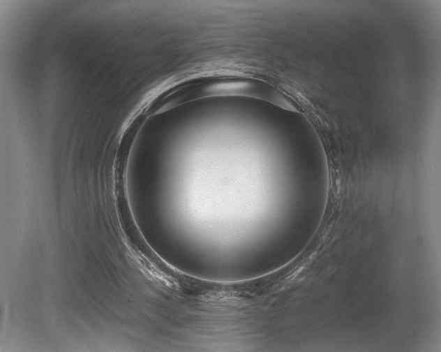 X0000081590244200701151316