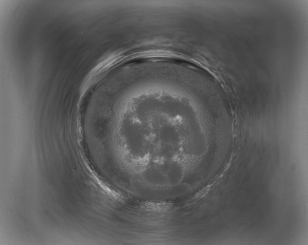 X0000081590245200701151316