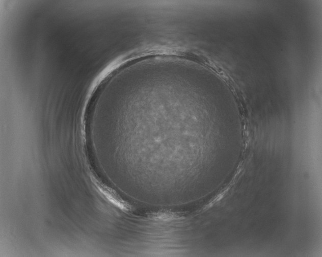 X0000081590246200701151316