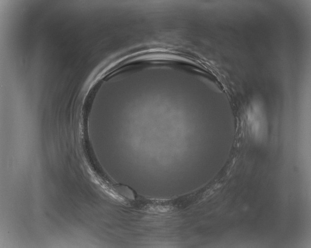 X0000081590247200701151316