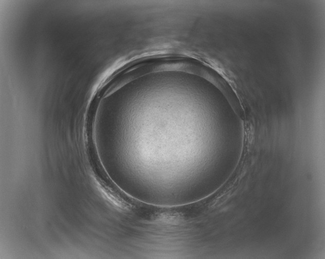 X0000081590248200701151316