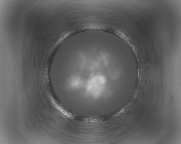 X0000081590249200701151316