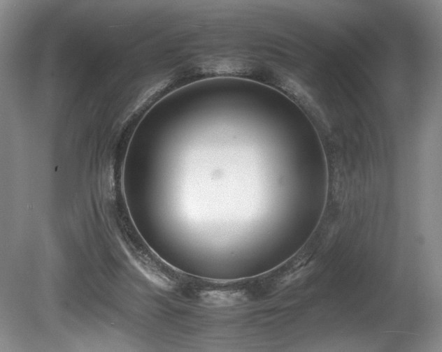 X0000081590251200701151317
