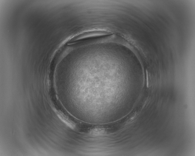 X0000081590252200701151317