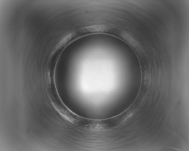 X0000081590254200701151317
