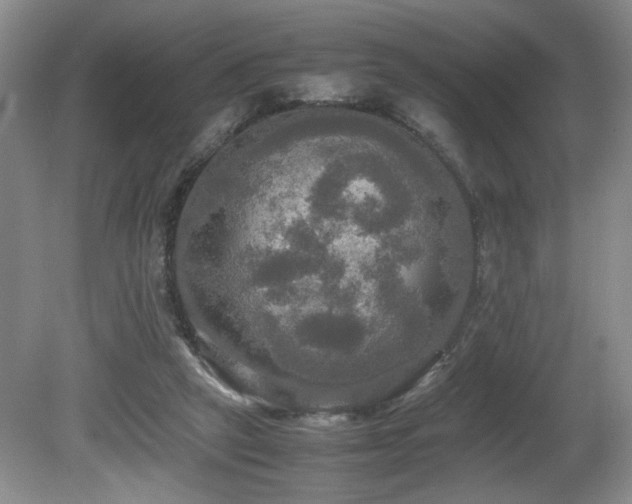 X0000081590257200701151317