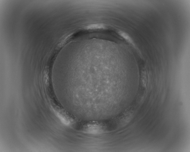 X0000081590259200701151317