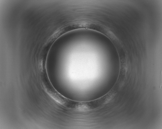 X0000081590262200701151317