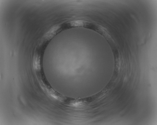 X0000081590267200701151317