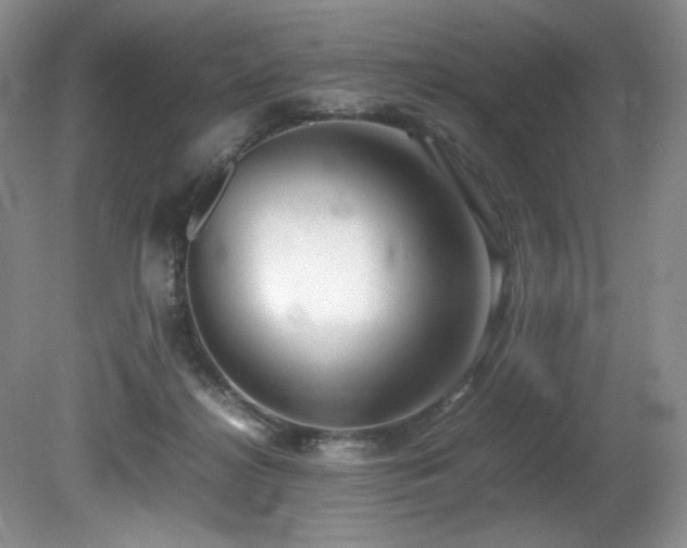 X0000081590268200701151317