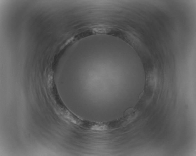 X0000081590271200701151317