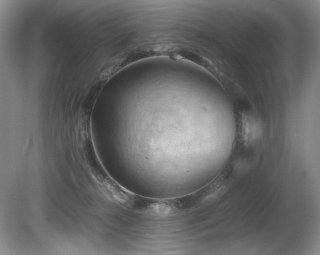 X0000081590272200701151317