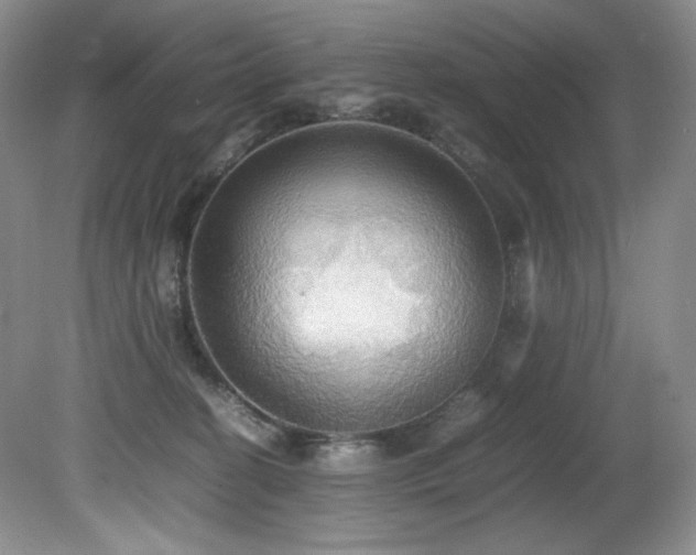 X0000081590274200701151317
