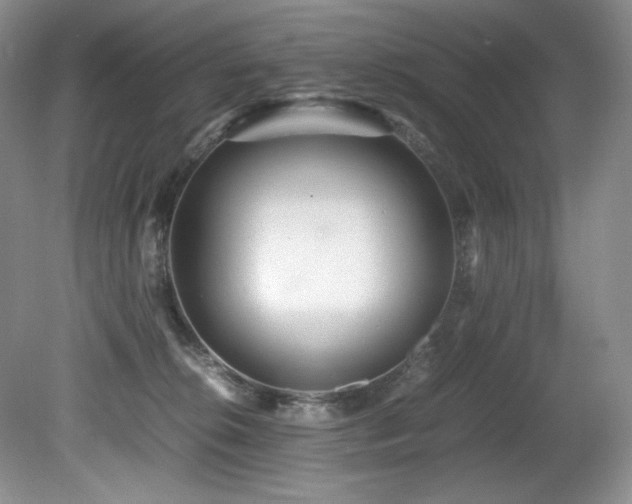 X0000081590276200701151317