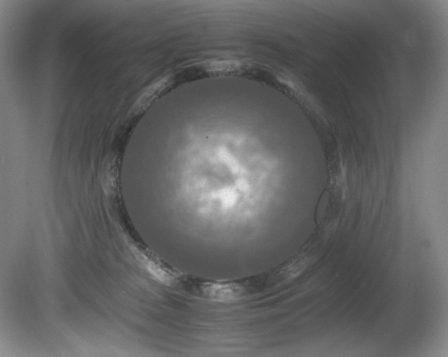 X0000081590277200701151317