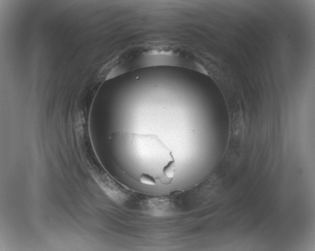 X0000081590279200701151317