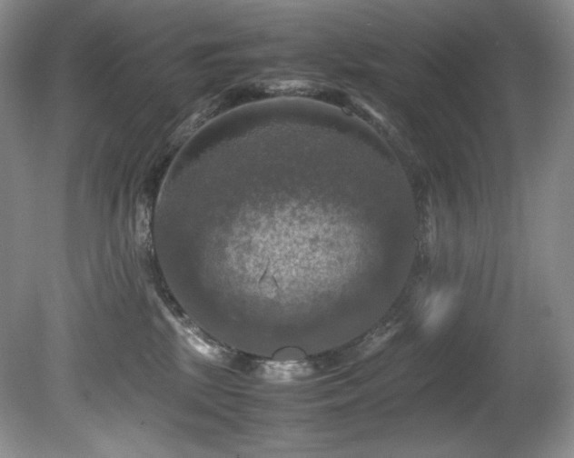 X0000081590281200701151317