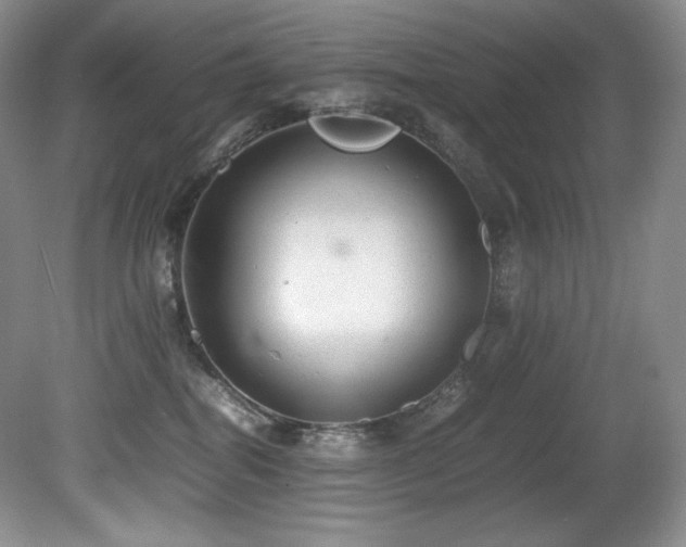 X0000081590282200701151317
