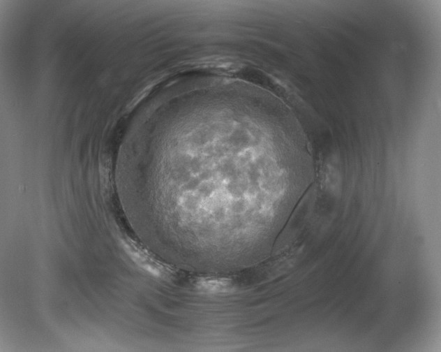 X0000081590283200701151317