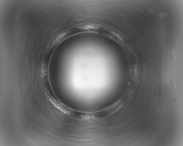 X0000081590284200701151317