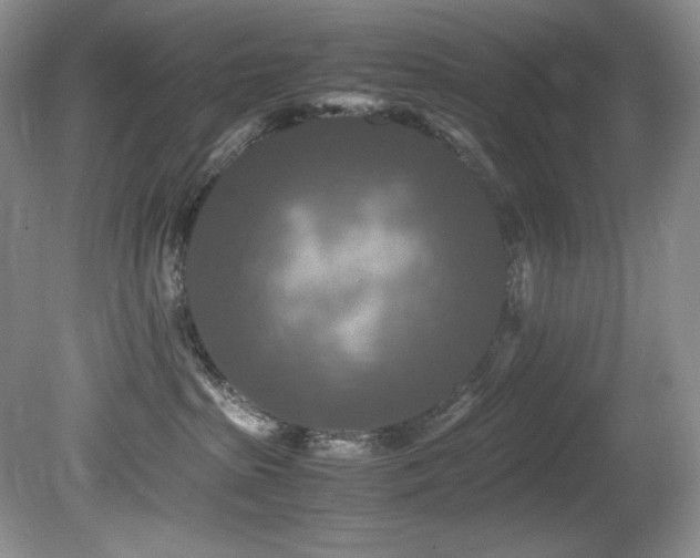 X0000081590285200701151317