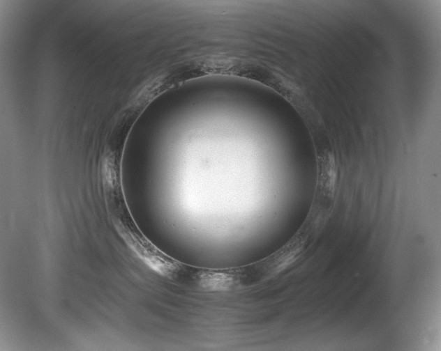 X0000081590287200701151317