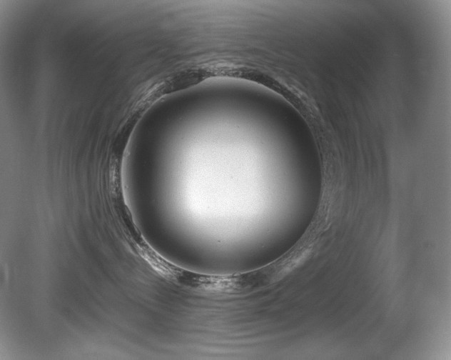X0000081590288200701151317