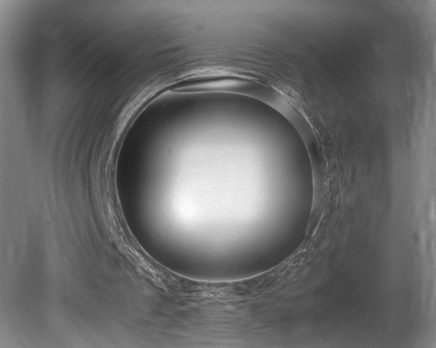 X0000081590289200701151316