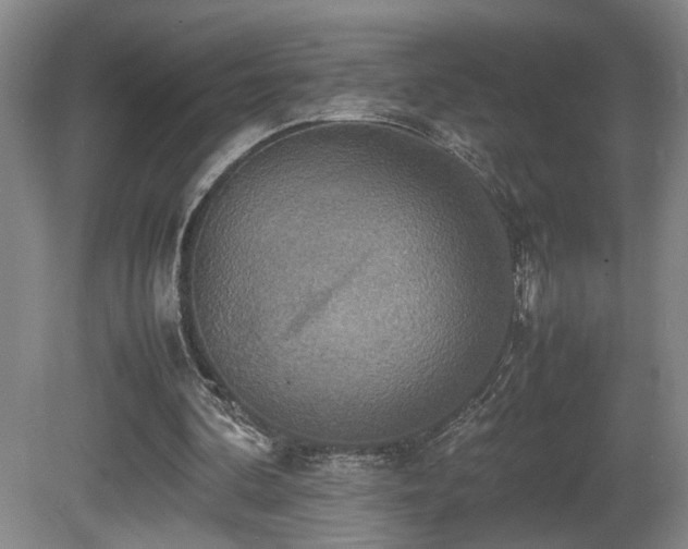 X0000081590292200701151316