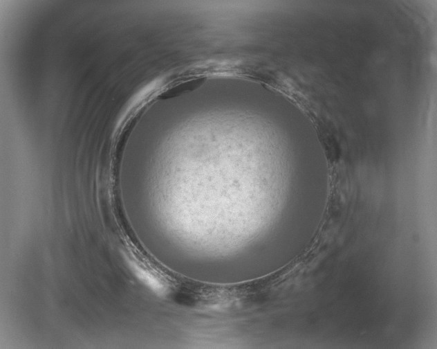 X0000081590293200701151316