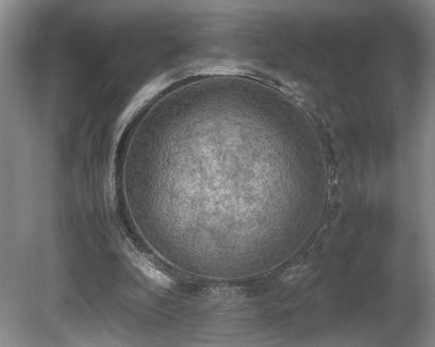 X0000081590296200701151316