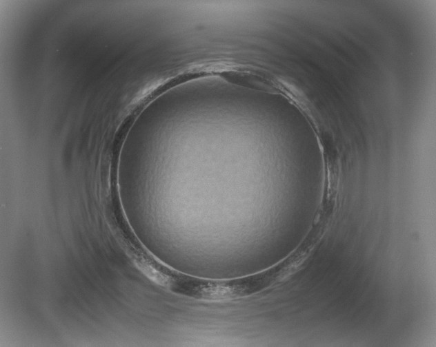 X0000081590301200701151316