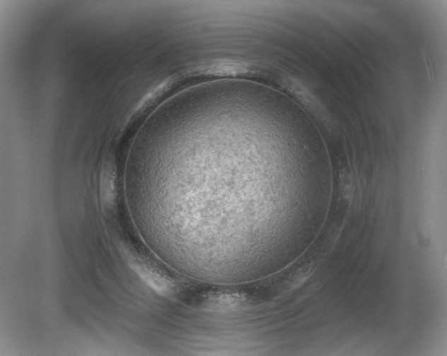 X0000081590304200701151316