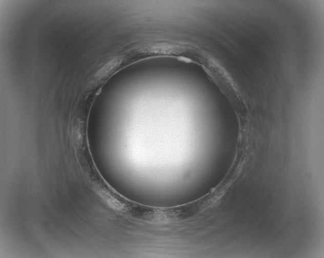 X0000081590305200701151316