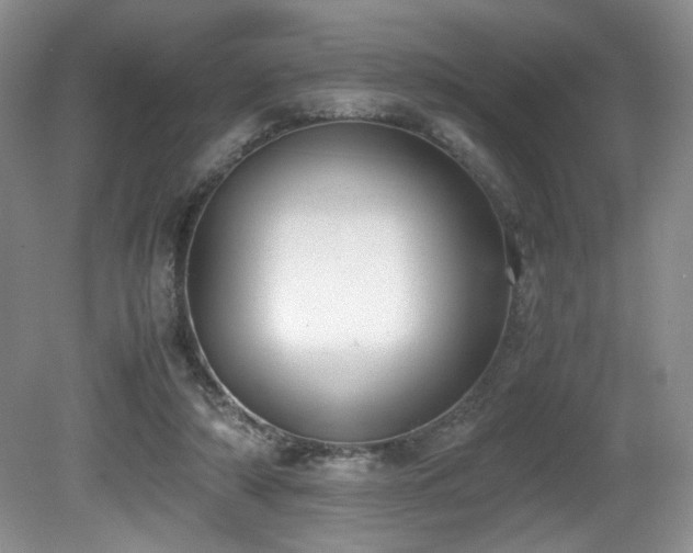 X0000081590306200701151316