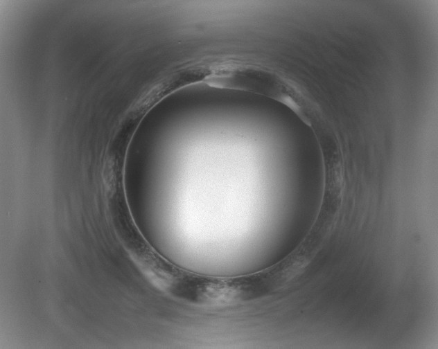 X0000081590311200701151316