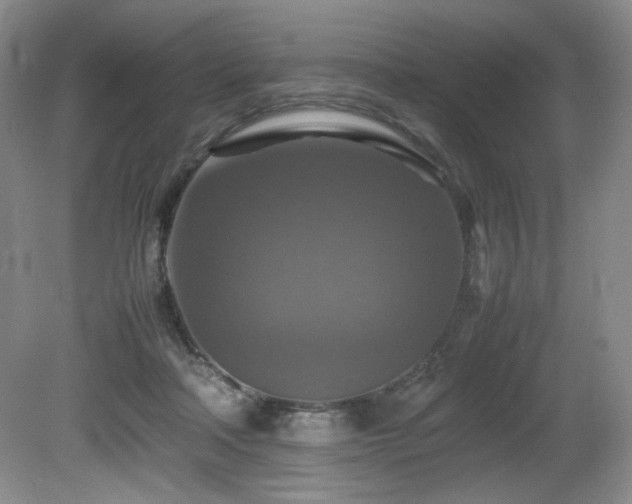 X0000081590314200701151316