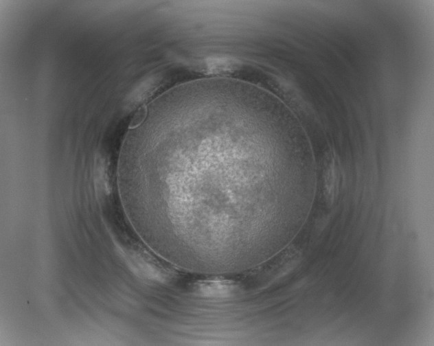 X0000081590316200701151316
