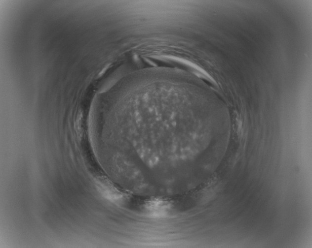 X0000081590319200701151316