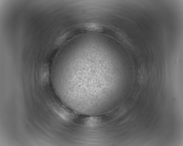 X0000081590320200701151316