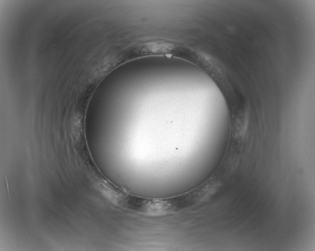 X0000081590321200701151316