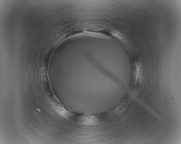 X0000081590322200701151316