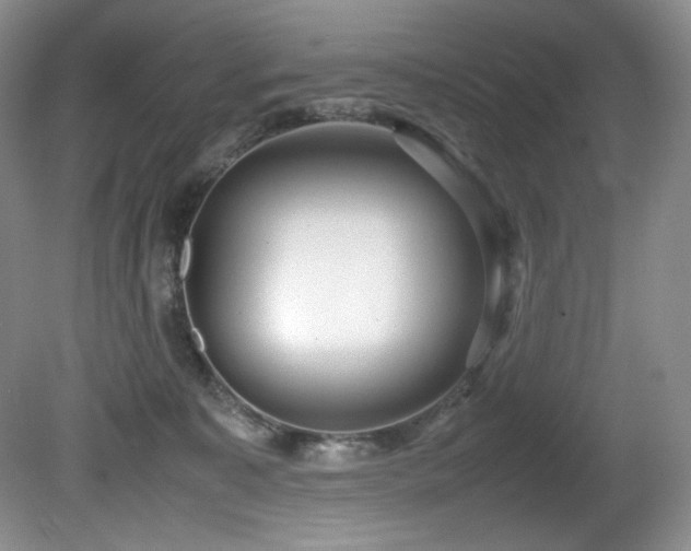 X0000081590323200701151316