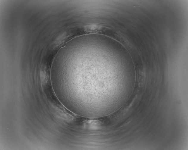 X0000081590324200701151316