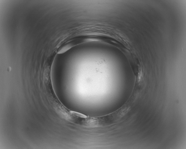 X0000081590325200701151316