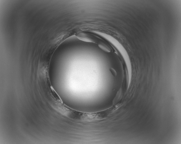 X0000081590329200701151316