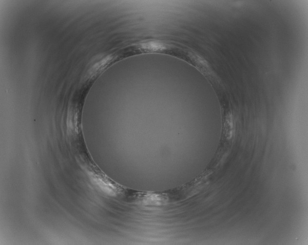 X0000081590330200701151316