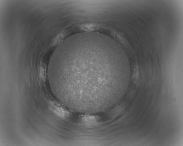 X0000081590332200701151316